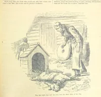 Picture 35 of 178 from Thrilling Life Stories for the Masses (1892), leaf 79