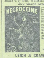 Picture 78 of 150 from Thrilling Life Stories for the Masses (1892), leaf 188