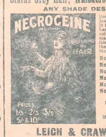 Picture 99 of 150 from Thrilling Life Stories for the Masses (1892), leaf 248