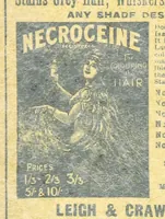 Picture 106 of 150 from Thrilling Life Stories for the Masses (1892), leaf 268