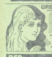 An illustration from Thrilling Life Stories for the Masses (1892)