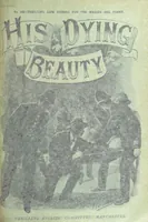 An illustration from Thrilling Life Stories for the Masses (1892)