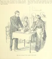 An illustration from Thrilling Life Stories for the Masses (1892)
