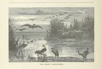 An illustration from The Log of the Fortuna: a cruise in Chinese Waters. Containing tales of adventure in foreign climes, by sea and by shore. [With illustrations (1870)