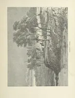 An illustration from The Log of the Fortuna: a cruise in Chinese Waters. Containing tales of adventure in foreign climes, by sea and by shore. [With illustrations (1870)