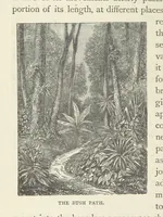 An illustration from The Log of the Fortuna: a cruise in Chinese Waters. Containing tales of adventure in foreign climes, by sea and by shore. [With illustrations (1870)