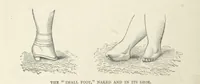 An illustration from The Log of the Fortuna: a cruise in Chinese Waters. Containing tales of adventure in foreign climes, by sea and by shore. [With illustrations (1870)