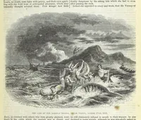 An illustration from Tales of Shipwrecks and Adventures at Sea: ... with celebrated voyages, amusing tales ... and ... anecdotes. Illustrated with ... engravings ... Edited by J. L. No. 1-59 (1846)