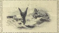 An illustration from Tales of Shipwrecks and Adventures at Sea: ... with celebrated voyages, amusing tales ... and ... anecdotes. Illustrated with ... engravings ... Edited by J. L. No. 1-59 (1846)