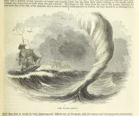 An illustration from Tales of Shipwrecks and Adventures at Sea: ... with celebrated voyages, amusing tales ... and ... anecdotes. Illustrated with ... engravings ... Edited by J. L. No. 1-59 (1846)