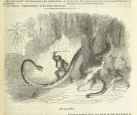An illustration from Tales of Shipwrecks and Adventures at Sea: ... with celebrated voyages, amusing tales ... and ... anecdotes. Illustrated with ... engravings ... Edited by J. L. No. 1-59 (1846)