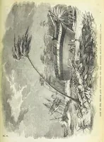 An illustration from Tales of Shipwrecks and Adventures at Sea: ... with celebrated voyages, amusing tales ... and ... anecdotes. Illustrated with ... engravings ... Edited by J. L. No. 1-59 (1846)