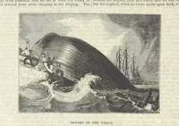 An illustration from Tales of Shipwrecks and Adventures at Sea: ... with celebrated voyages, amusing tales ... and ... anecdotes. Illustrated with ... engravings ... Edited by J. L. No. 1-59 (1846)