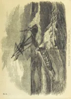 An illustration from Tales of Shipwrecks and Adventures at Sea: ... with celebrated voyages, amusing tales ... and ... anecdotes. Illustrated with ... engravings ... Edited by J. L. No. 1-59 (1846)