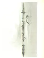 An illustration from Route from Liverpool to Great Salt Lake Valley illustrated ... from sketches ... by Frederick Piercy, and containing a map of the overland portion of the journey. Edited by J. Linforth. [With plates, including portraits (1855)