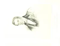 An illustration from Route from Liverpool to Great Salt Lake Valley illustrated ... from sketches ... by Frederick Piercy, and containing a map of the overland portion of the journey. Edited by J. Linforth. [With plates, including portraits (1855)