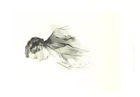An illustration from Route from Liverpool to Great Salt Lake Valley illustrated ... from sketches ... by Frederick Piercy, and containing a map of the overland portion of the journey. Edited by J. Linforth. [With plates, including portraits (1855)