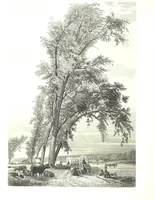 An illustration from Route from Liverpool to Great Salt Lake Valley illustrated ... from sketches ... by Frederick Piercy, and containing a map of the overland portion of the journey. Edited by J. Linforth. [With plates, including portraits (1855)