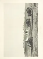 An illustration from Route from Liverpool to Great Salt Lake Valley illustrated ... from sketches ... by Frederick Piercy, and containing a map of the overland portion of the journey. Edited by J. Linforth. [With plates, including portraits (1855)
