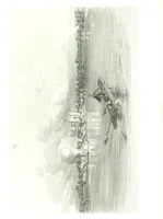 An illustration from Route from Liverpool to Great Salt Lake Valley illustrated ... from sketches ... by Frederick Piercy, and containing a map of the overland portion of the journey. Edited by J. Linforth. [With plates, including portraits (1855)