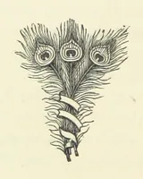 An illustration from The Haven under the Hill. A novel (1886)