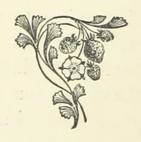 An illustration from The Haven under the Hill. A novel (1886)