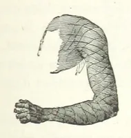 Picture 16 of 60 from Dernier Journal du docteur David Livingstone relatant des explorations et découvertes de 1866 à 1873, suivi du récit de ses derniers moments rédigé d'après le rapport de ... Chouma et Souzi par H. Waller. ... Ouvrage traduit de l'anglais ... par Mme. H. Loreau et contenant 60 gravures et 4 cartes (1876), leaf 157