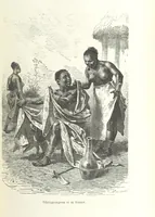 An illustration from Dernier Journal du docteur David Livingstone relatant des explorations et découvertes de 1866 à 1873, suivi du récit de ses derniers moments rédigé d'après le rapport de ... Chouma et Souzi par H. Waller. ... Ouvrage traduit de l'anglais ... par Mme. H. Loreau et contenant 60 gravures et 4 cartes (1876)