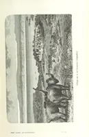 An illustration from Dernier Journal du docteur David Livingstone relatant des explorations et découvertes de 1866 à 1873, suivi du récit de ses derniers moments rédigé d'après le rapport de ... Chouma et Souzi par H. Waller. ... Ouvrage traduit de l'anglais ... par Mme. H. Loreau et contenant 60 gravures et 4 cartes (1876)