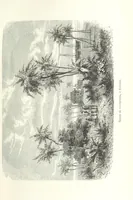Picture 2 of 60 from Dernier Journal du docteur David Livingstone relatant des explorations et découvertes de 1866 à 1873, suivi du récit de ses derniers moments rédigé d'après le rapport de ... Chouma et Souzi par H. Waller. ... Ouvrage traduit de l'anglais ... par Mme. H. Loreau et contenant 60 gravures et 4 cartes (1876), leaf 25