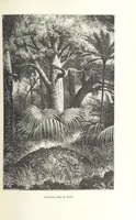 Picture 26 of 60 from Dernier Journal du docteur David Livingstone relatant des explorations et découvertes de 1866 à 1873, suivi du récit de ses derniers moments rédigé d'après le rapport de ... Chouma et Souzi par H. Waller. ... Ouvrage traduit de l'anglais ... par Mme. H. Loreau et contenant 60 gravures et 4 cartes (1876), leaf 353