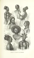 Picture 31 of 60 from Dernier Journal du docteur David Livingstone relatant des explorations et découvertes de 1866 à 1873, suivi du récit de ses derniers moments rédigé d'après le rapport de ... Chouma et Souzi par H. Waller. ... Ouvrage traduit de l'anglais ... par Mme. H. Loreau et contenant 60 gravures et 4 cartes (1876), leaf 445