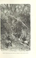 An illustration from Dernier Journal du docteur David Livingstone relatant des explorations et découvertes de 1866 à 1873, suivi du récit de ses derniers moments rédigé d'après le rapport de ... Chouma et Souzi par H. Waller. ... Ouvrage traduit de l'anglais ... par Mme. H. Loreau et contenant 60 gravures et 4 cartes (1876)