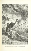 An illustration from Dernier Journal du docteur David Livingstone relatant des explorations et découvertes de 1866 à 1873, suivi du récit de ses derniers moments rédigé d'après le rapport de ... Chouma et Souzi par H. Waller. ... Ouvrage traduit de l'anglais ... par Mme. H. Loreau et contenant 60 gravures et 4 cartes (1876)
