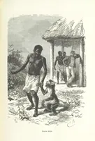 Picture 39 of 60 from Dernier Journal du docteur David Livingstone relatant des explorations et découvertes de 1866 à 1873, suivi du récit de ses derniers moments rédigé d'après le rapport de ... Chouma et Souzi par H. Waller. ... Ouvrage traduit de l'anglais ... par Mme. H. Loreau et contenant 60 gravures et 4 cartes (1876), leaf 545