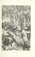 Picture 43 of 60 from Dernier Journal du docteur David Livingstone relatant des explorations et découvertes de 1866 à 1873, suivi du récit de ses derniers moments rédigé d'après le rapport de ... Chouma et Souzi par H. Waller. ... Ouvrage traduit de l'anglais ... par Mme. H. Loreau et contenant 60 gravures et 4 cartes (1876), leaf 599