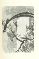 An illustration from Dernier Journal du docteur David Livingstone relatant des explorations et découvertes de 1866 à 1873, suivi du récit de ses derniers moments rédigé d'après le rapport de ... Chouma et Souzi par H. Waller. ... Ouvrage traduit de l'anglais ... par Mme. H. Loreau et contenant 60 gravures et 4 cartes (1876)
