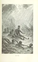 Picture 46 of 60 from Dernier Journal du docteur David Livingstone relatant des explorations et découvertes de 1866 à 1873, suivi du récit de ses derniers moments rédigé d'après le rapport de ... Chouma et Souzi par H. Waller. ... Ouvrage traduit de l'anglais ... par Mme. H. Loreau et contenant 60 gravures et 4 cartes (1876), leaf 739