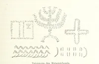 Picture 7 of 60 from Dernier Journal du docteur David Livingstone relatant des explorations et découvertes de 1866 à 1873, suivi du récit de ses derniers moments rédigé d'après le rapport de ... Chouma et Souzi par H. Waller. ... Ouvrage traduit de l'anglais ... par Mme. H. Loreau et contenant 60 gravures et 4 cartes (1876), leaf 75