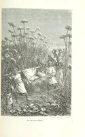 Picture 50 of 60 from Dernier Journal du docteur David Livingstone relatant des explorations et découvertes de 1866 à 1873, suivi du récit de ses derniers moments rédigé d'après le rapport de ... Chouma et Souzi par H. Waller. ... Ouvrage traduit de l'anglais ... par Mme. H. Loreau et contenant 60 gravures et 4 cartes (1876), leaf 781