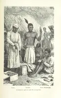 An illustration from Dernier Journal du docteur David Livingstone relatant des explorations et découvertes de 1866 à 1873, suivi du récit de ses derniers moments rédigé d'après le rapport de ... Chouma et Souzi par H. Waller. ... Ouvrage traduit de l'anglais ... par Mme. H. Loreau et contenant 60 gravures et 4 cartes (1876)