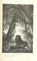 An illustration from Dernier Journal du docteur David Livingstone relatant des explorations et découvertes de 1866 à 1873, suivi du récit de ses derniers moments rédigé d'après le rapport de ... Chouma et Souzi par H. Waller. ... Ouvrage traduit de l'anglais ... par Mme. H. Loreau et contenant 60 gravures et 4 cartes (1876)