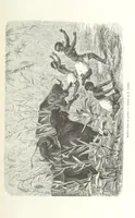An illustration from Explorations du Zambèse et de ses affluents ... Ouvrage traduit de l'Anglais ... par Mme H. Loreau, contenant 47 gravures et 4 cartes (1866)