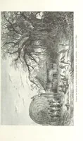 Picture 23 of 43 from Explorations du Zambèse et de ses affluents ... Ouvrage traduit de l'Anglais ... par Mme H. Loreau, contenant 47 gravures et 4 cartes (1866), leaf 323
