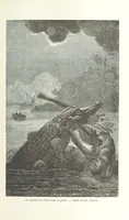 Picture 26 of 43 from Explorations du Zambèse et de ses affluents ... Ouvrage traduit de l'Anglais ... par Mme H. Loreau, contenant 47 gravures et 4 cartes (1866), leaf 361