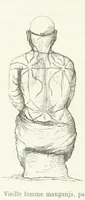 Picture 30 of 43 from Explorations du Zambèse et de ses affluents ... Ouvrage traduit de l'Anglais ... par Mme H. Loreau, contenant 47 gravures et 4 cartes (1866), leaf 428