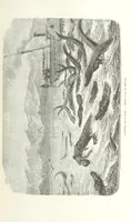 An illustration from Explorations du Zambèse et de ses affluents ... Ouvrage traduit de l'Anglais ... par Mme H. Loreau, contenant 47 gravures et 4 cartes (1866)