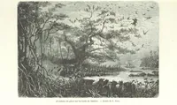 Picture 4 of 43 from Explorations du Zambèse et de ses affluents ... Ouvrage traduit de l'Anglais ... par Mme H. Loreau, contenant 47 gravures et 4 cartes (1866), leaf 49