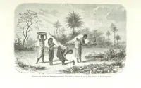 Picture 37 of 43 from Explorations du Zambèse et de ses affluents ... Ouvrage traduit de l'Anglais ... par Mme H. Loreau, contenant 47 gravures et 4 cartes (1866), leaf 573