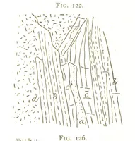 An illustration from Gold: its occurrence and extraction. Embracing the geographical and geological distribution ... of gold-bearing rocks; ... a bibliography of the subject; and a glossary of English and foreign technical terms ... With ... maps, etc (1882)